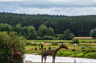 Podlasie SlowFest 