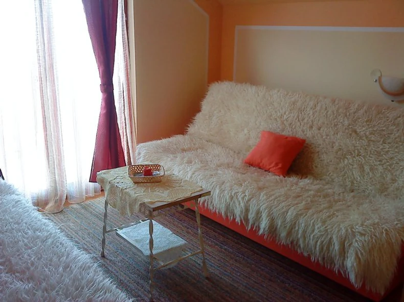 Uz pomoć opštine Zlatibor uložio je i u seoski turizam