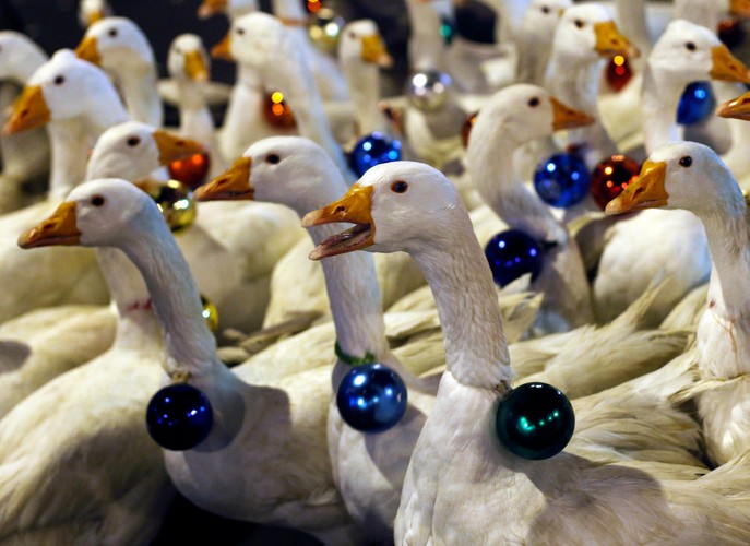 Święto Trzech Króli, Hiszpania