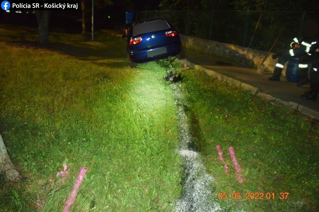 Vodičku z okresu Spišská Nová Ves nezastavil ani strom.