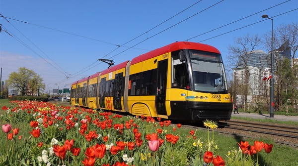 Urzędnicy zapewniają, że pięknie będzie na wiosnę, kiedy na pętlach komunikacji miejskiej zakwitną tulipanowe dywany.