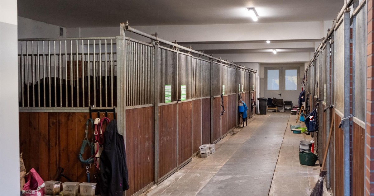 Tragedia w ośrodku jeździeckim na Śląsku. Operator wózka widłowego wjechał w konia