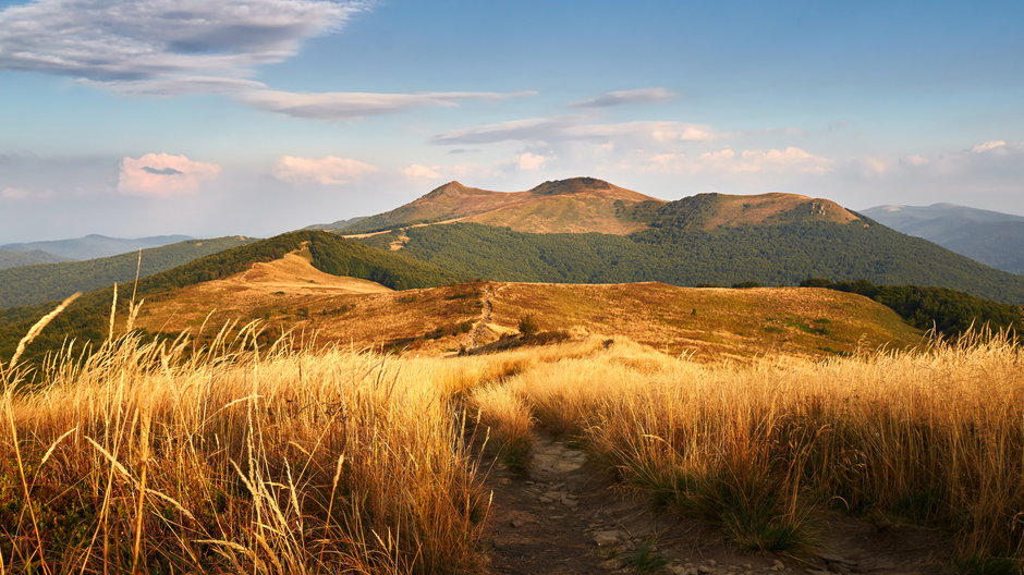 Połonina Wetlińska, Bieszczady