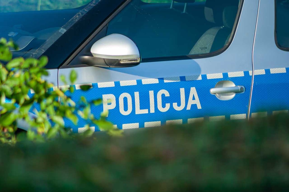 Polska policja