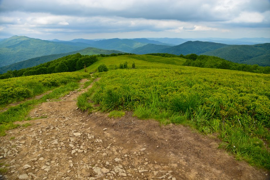 Bieszczady to jeden z najbardziej dzikich i tajemniczych zakątków Polski