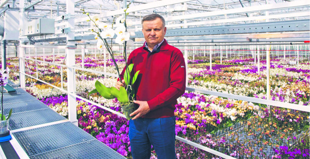 Firma Jarosława Ptaszka wyspecjalizowała się w produkcji kwiatów pod koniec lat 90. Dziś uprawy róż i storczyków zajmują po 6 hektarów, zaś anturiów – 3 ha