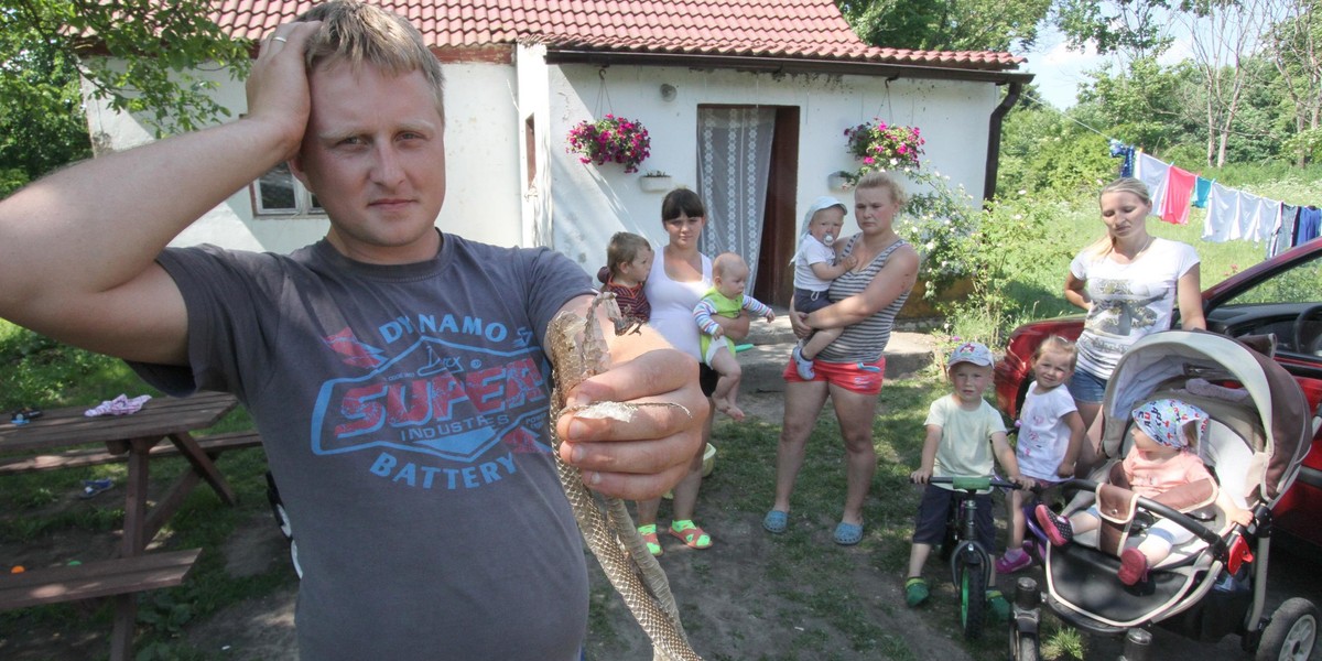 Bociana nie ma, żmije grasują!