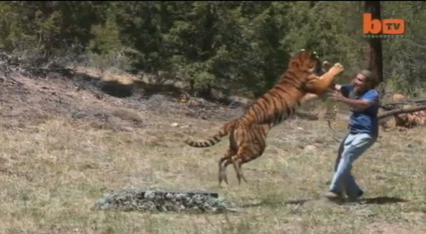 "Prijateljski" skok: Eden napada trenera