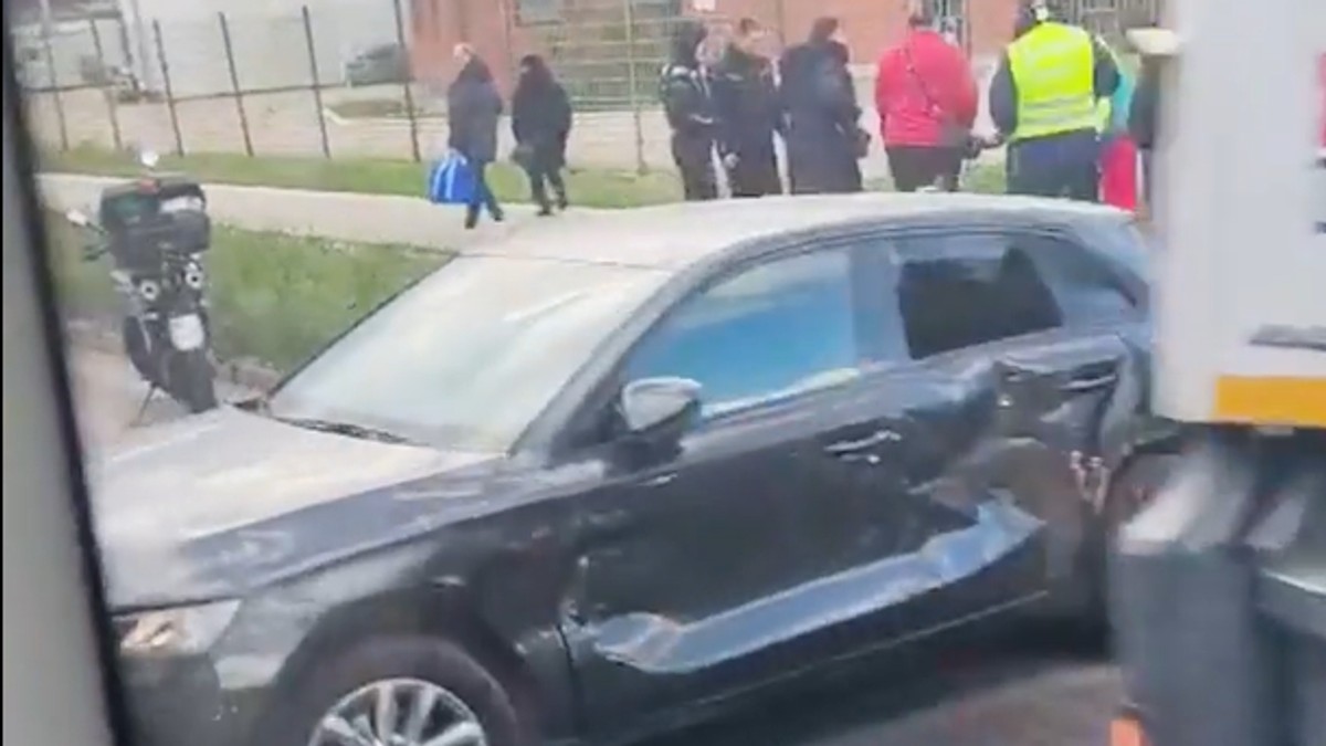 Sudar, Ada Ciganlija