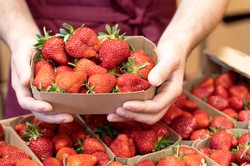 Polska tuż za liderem jako producent truskawek w UE. Kto króluje na rynku światowym?