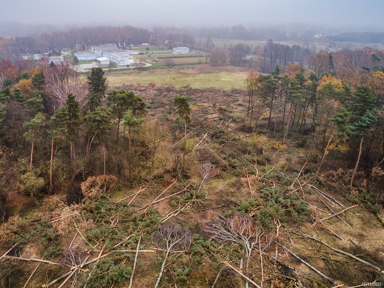 Budowa drogi ekspresowej S-1 - odcinek węzeł Oświęcim - Dankowice - zdjęcia z drona - 15.11.2022 - autor: GDDKiA