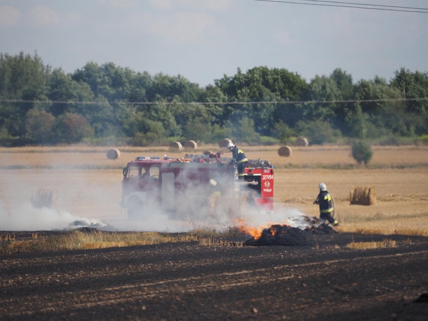 Pożar ścierniska. To podpalenie