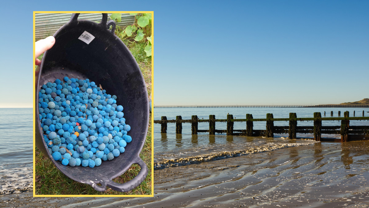 Tajemnicze niebieskie kulki na plażach. Wiadomo już, skąd pochodzą