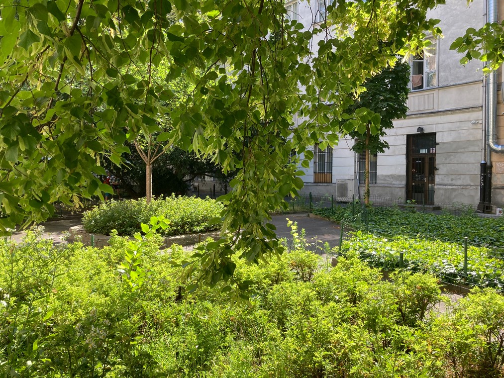 Widok na wejście od zaplecza do dawnego butiku Ultimo