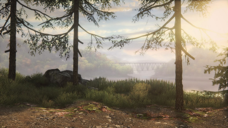 The Vanishing of Ethan Carter PS4