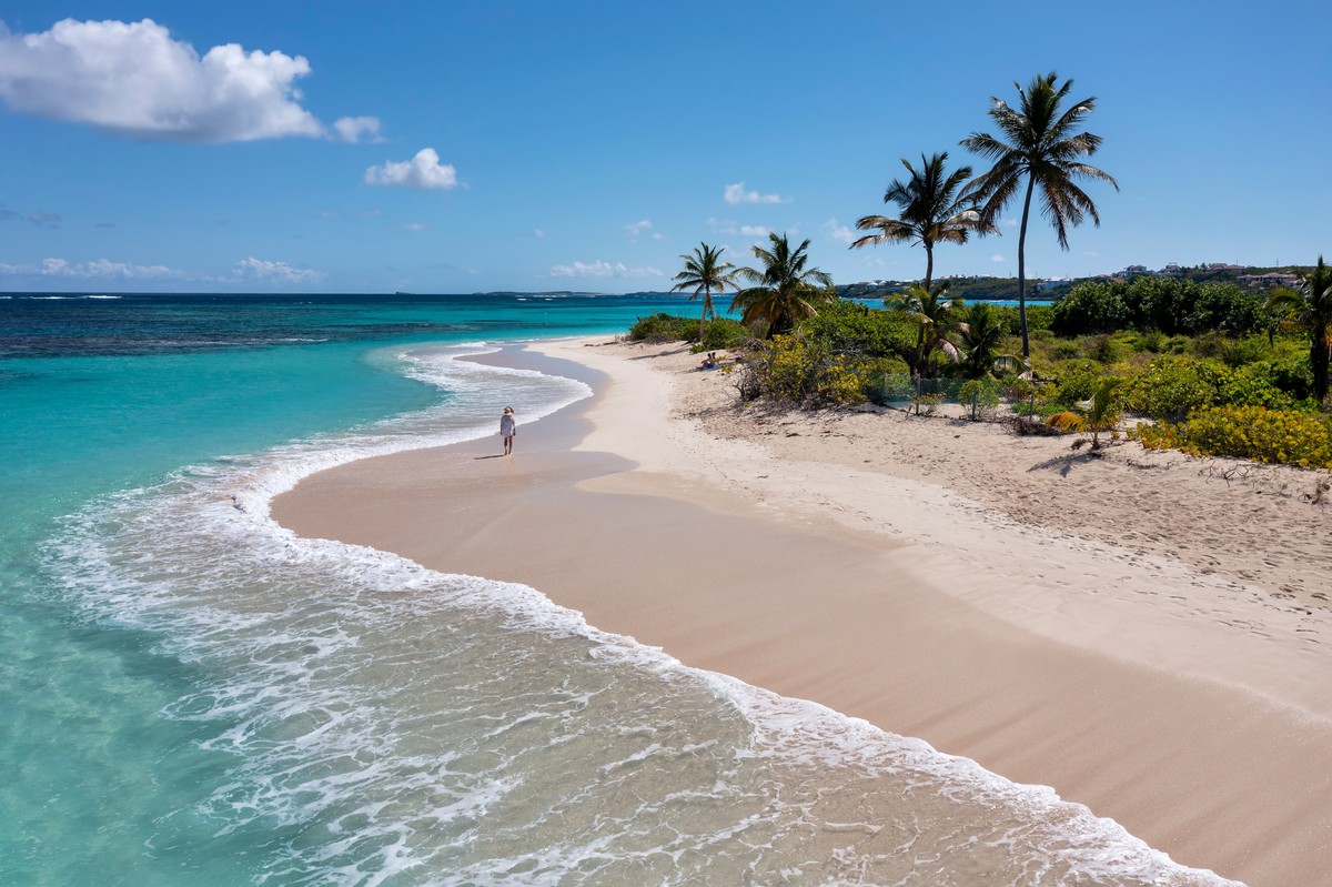 Anguilla zaskakuje cyfrowym sukcesem. Dochody z domen .ai biją rekordy
