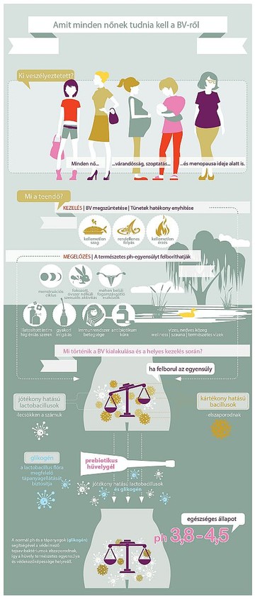 bv-infografika-kis-d00001A0E7dae0a8a6832