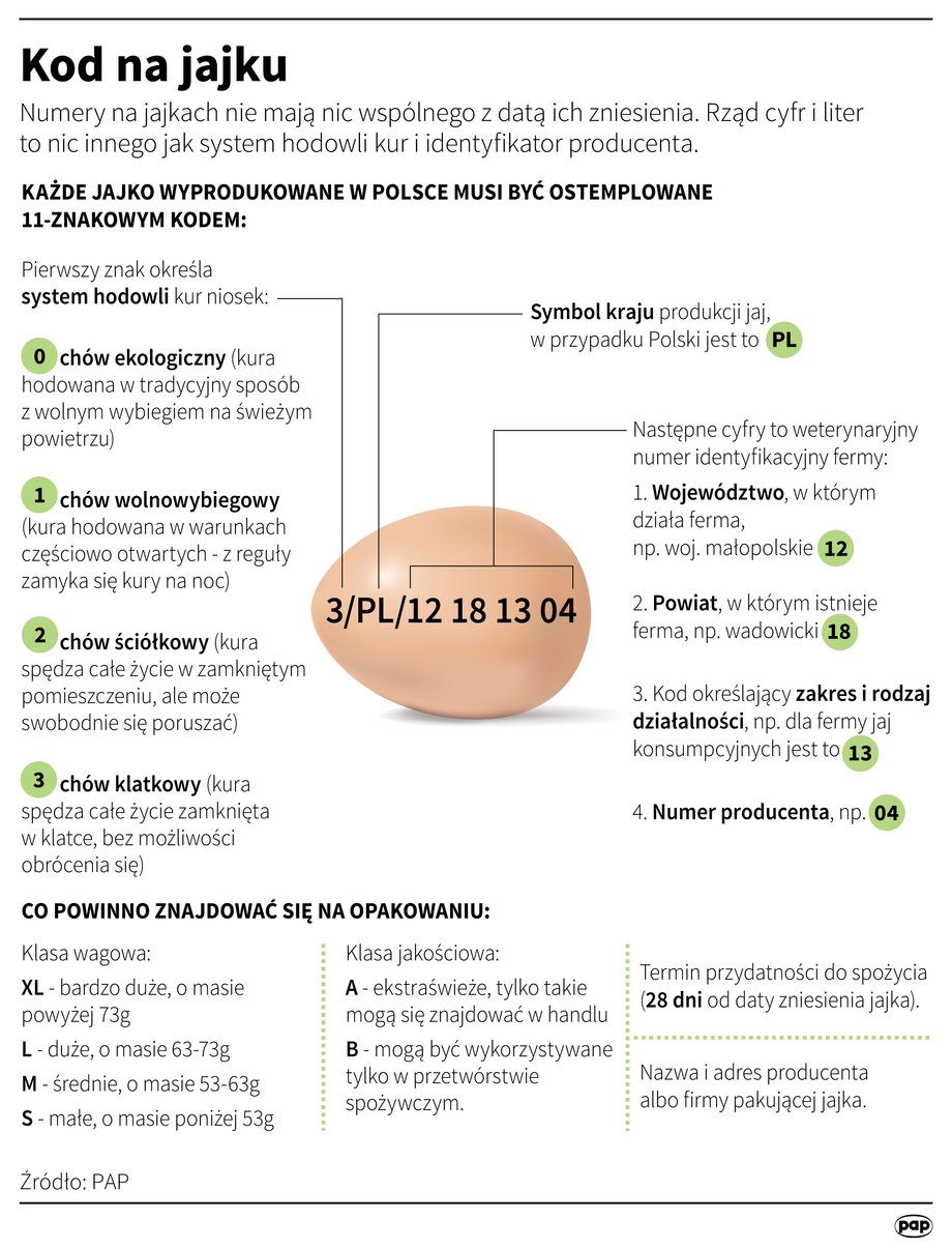 Co Oznaczają Cyfry Na Jajku Infografika 8845