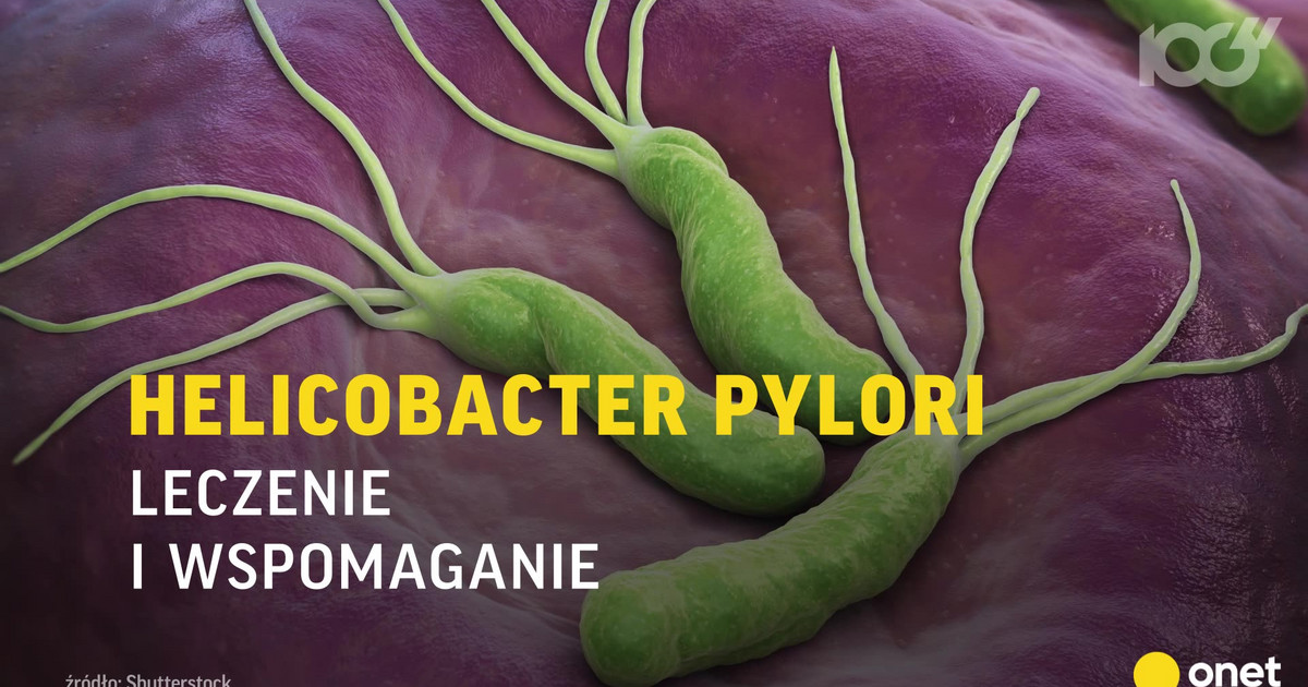 Helicobacter Pylori Leczenie I Wspomaganie Zdrowie