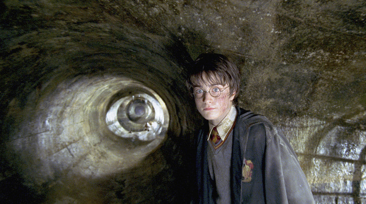 A Harry Potter több mint két évtized után is lázban tartja a rajongókat /Fotó: Northfoto
