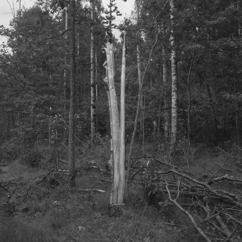 Miejsca, których nie ma