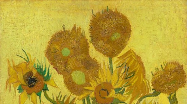 Vincent van Gogh: Váza tizenöt napraforgóval Arles, 1889. január / Fotó: Van Gogh Museum, Amsterdam (Vincent van Gogh Foundation)