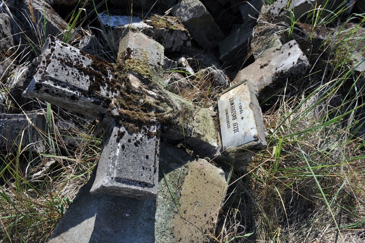 Odsłonięte brzegi Odry