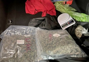 Hapšenje droga
