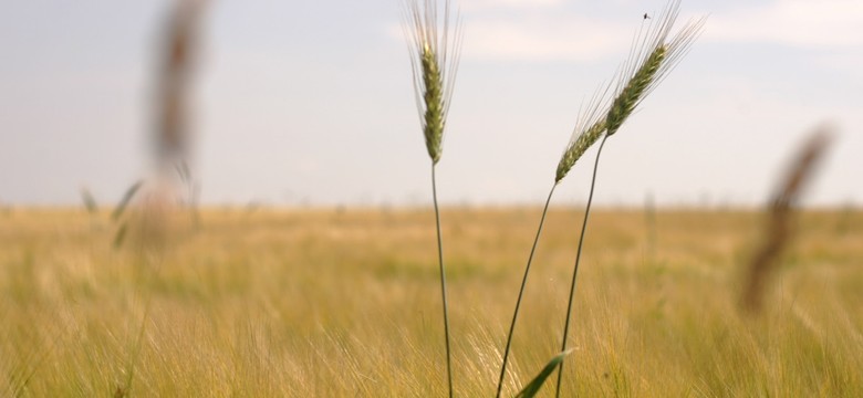Minister sprawiedliwości zawiesił komornika z Łodzi