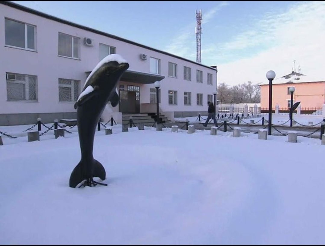 Väznica Čierny delfín.