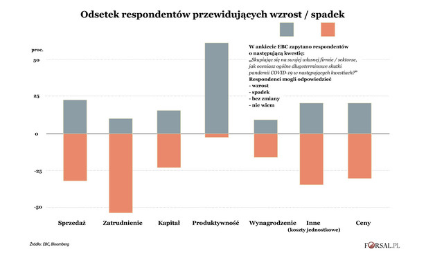 Długotrwałe skutki pandemii - ankieta EBC