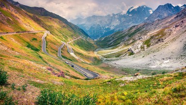 Tyrol Południowy: ciało mężczyzny ze śladami ugryzień. Śledczy wyjaśnili tajemnicę