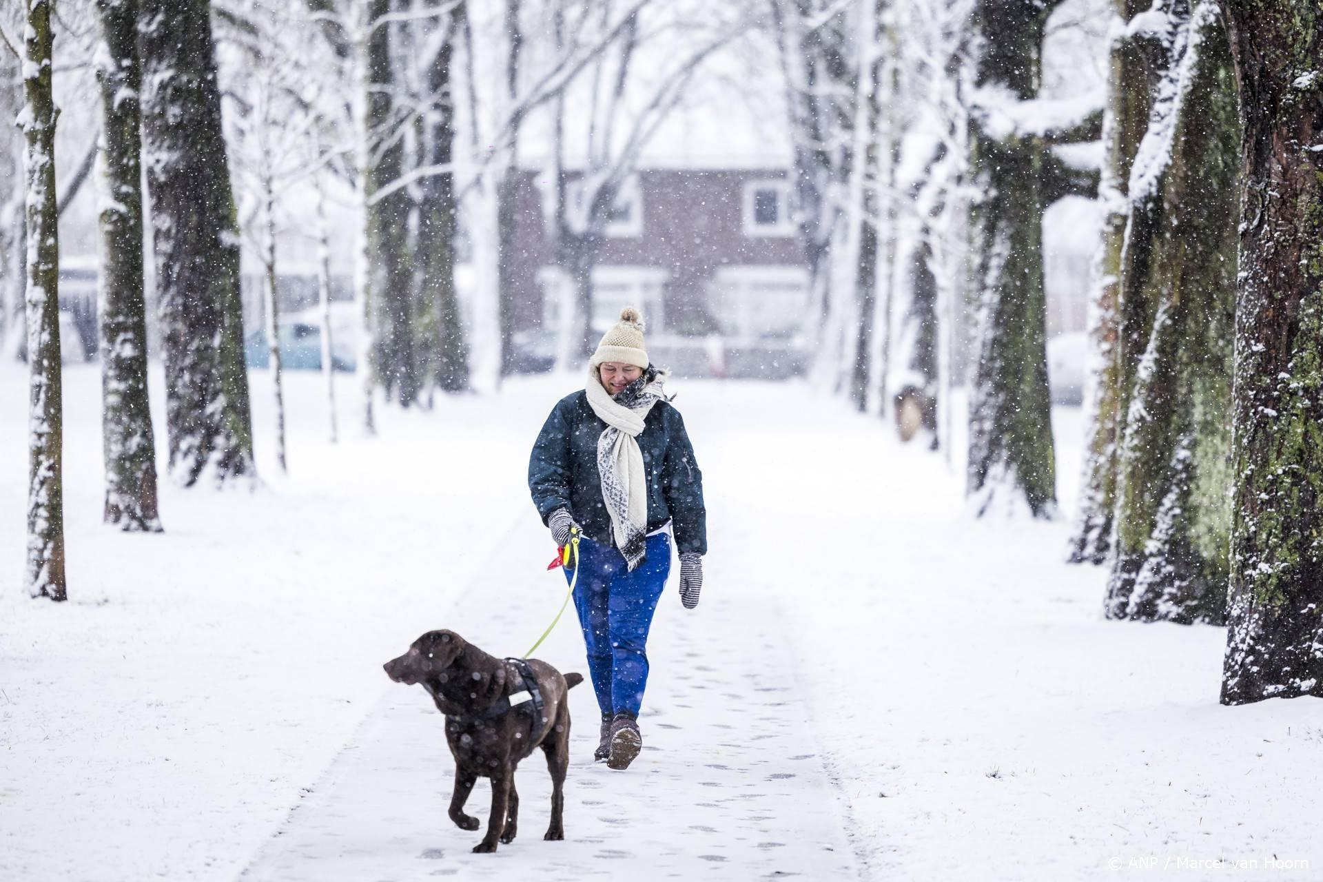 Steeds minder gemeenten heffen hondenbelasting: nog maar 101 in 2026