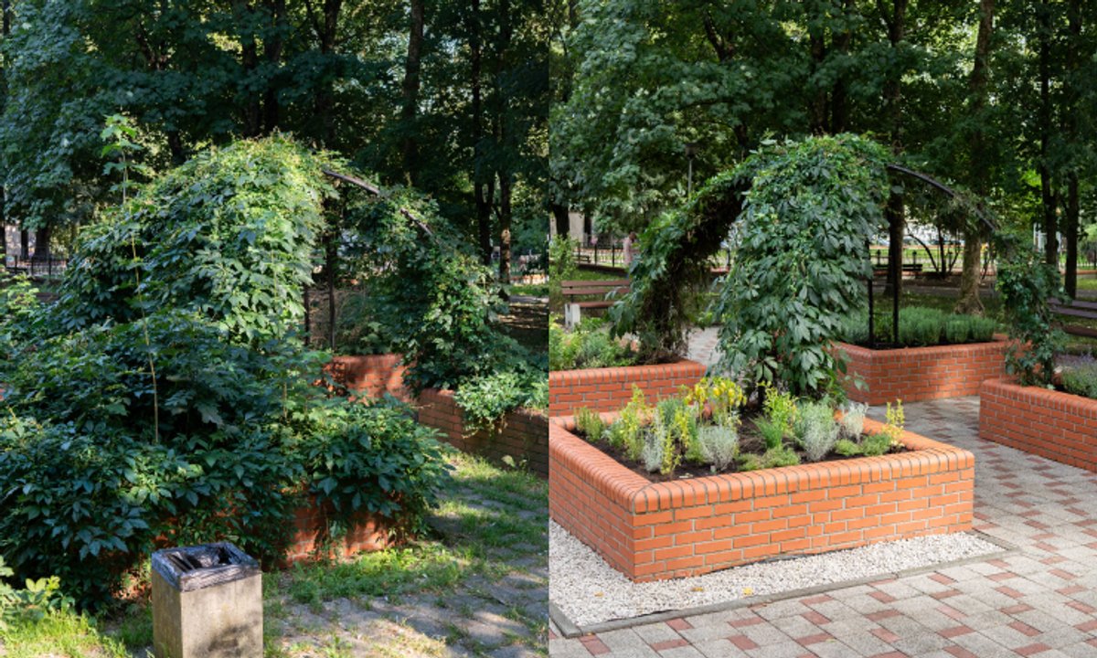 Finał akcji GROW & WOW w Koszalinie – nowy park sensoryczny od InPost for Cities i wyczyszczony Stadion ABC