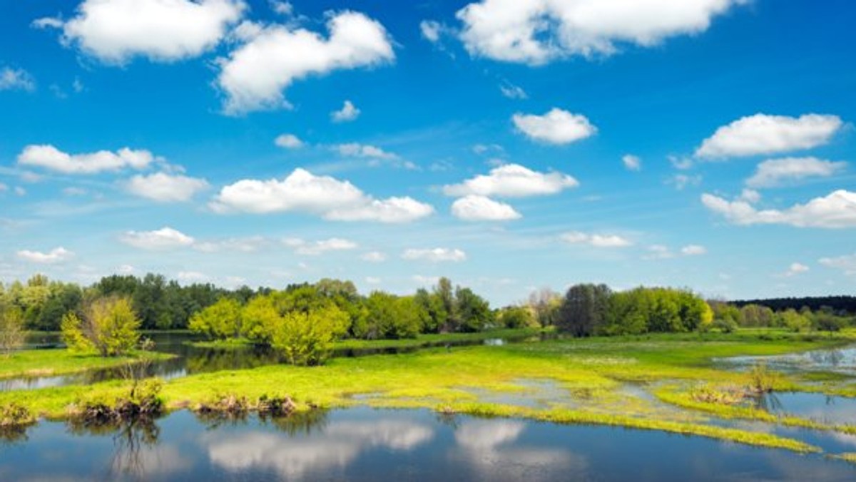 Narwiański Park Narodowy