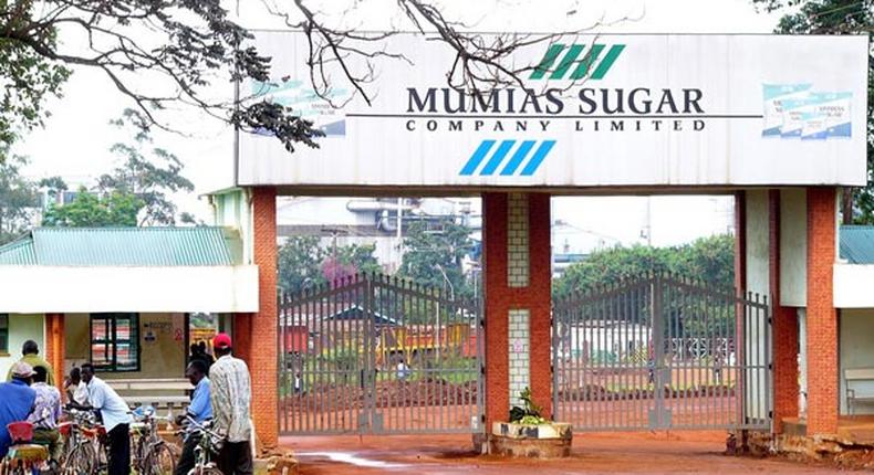 File Image of Mumias Sugar company 
