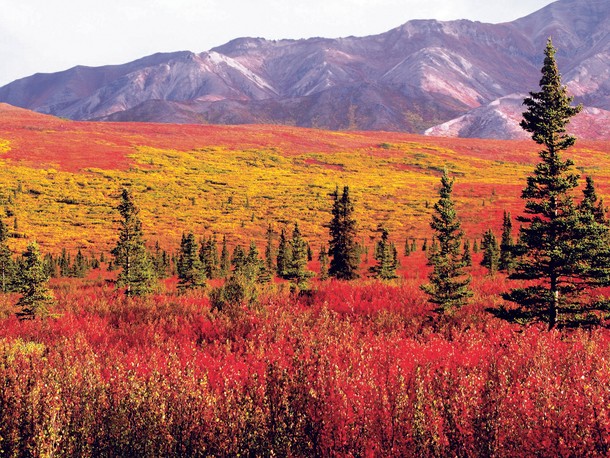 The World’s Best Fall Foliage