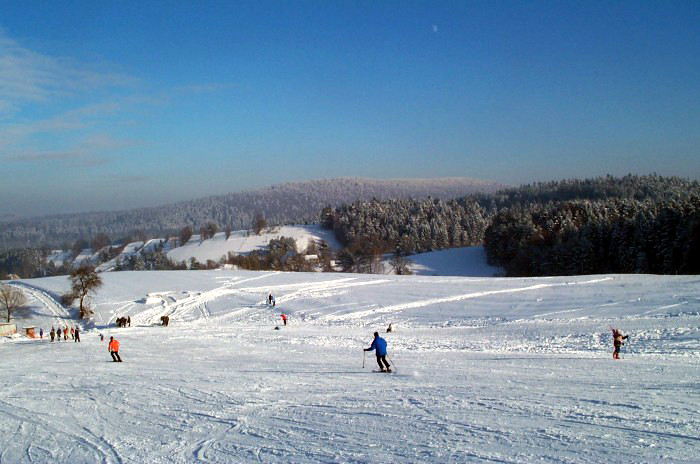 Narty na Podkarpaciu