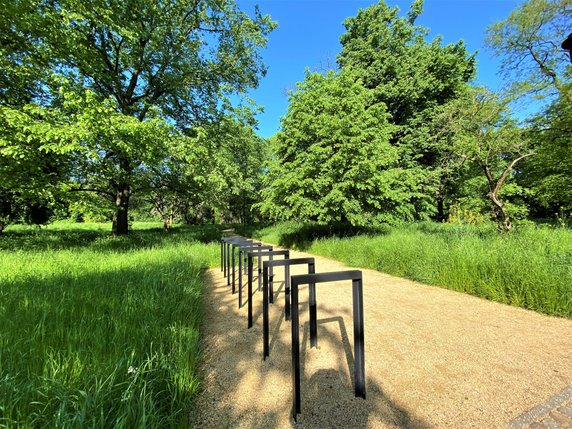 Jest naturalny. Park wokół Dworku Matejki w Krakowie po remoncie