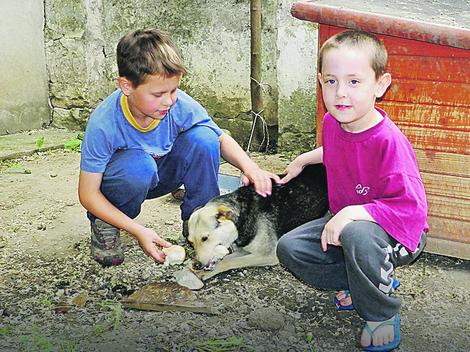 Oni imaju samo stare igračke i dva psa koji im prave društvo