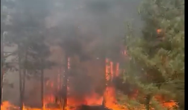 Deliblatska peščara