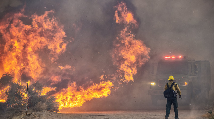 Ausztrália a legpusztítóbb tűzvészt élheti át pár nap múlva, amit valaha látott /Fotó: Northfoto