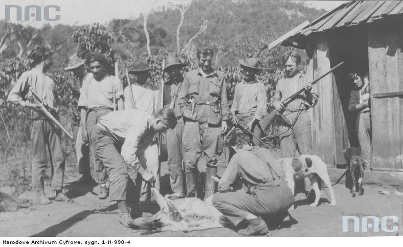 Arkady Fiedler i polska ekspedycja naukowa do Brazylii - uczestnicy wyprawy skórują upolowanego jelenia, 1929 r.