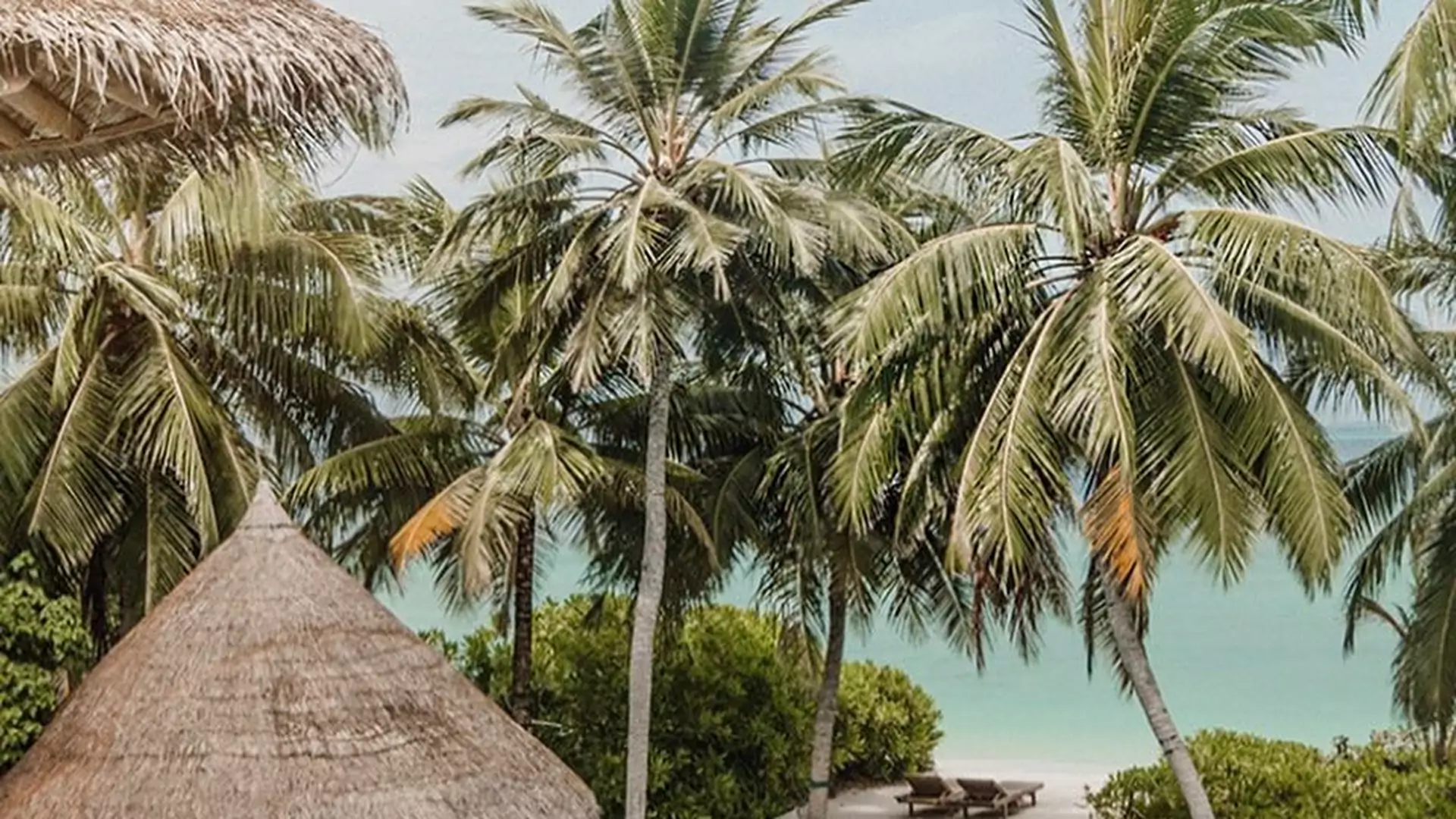 Poszukiwany pracownik księgarni w luksusowym kurorcie na Malediwach. Czy może być lepsze zajęcie na wakacje?