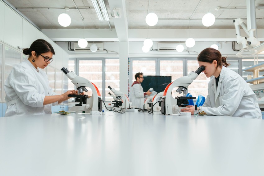 Tokom boravka u Petnici oni na raspolaganju imaju najmodernije laboratorije, naučnu operemu, računare, biblioteku, resursni centar...
