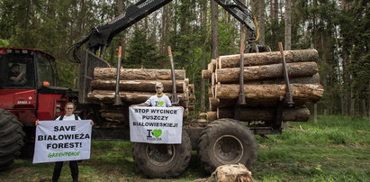 UE: Koniec z wycinką drzew w Puszczy Białowieskiej! Szyszko nie komentuje