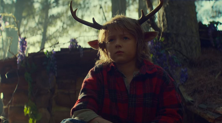 A Sweet Tooth egy Gus (Christian Convery) nevű hibrid kisfiúról szól, aki apjával él az erdőben, míg idegenek nem támadnak rájuk / Fotó: Netflix