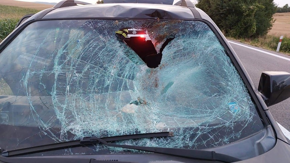 Dve autá sa zrazili so srnou, tá skončila v interiéri automobilu.