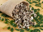 10 sexual benefits of moringa seeds for men and women