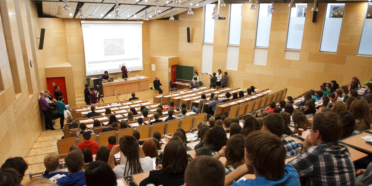 Studenci ratują psy.